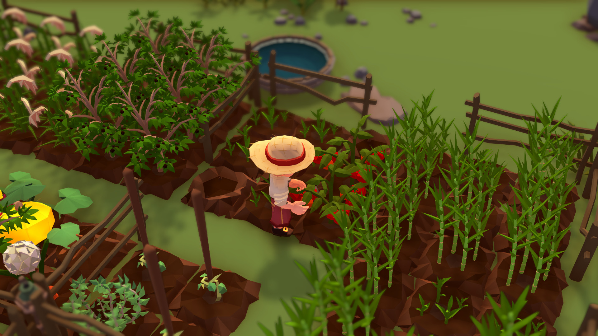 Изображение 6: Stranded Sails - Explorers of the Cursed Islands