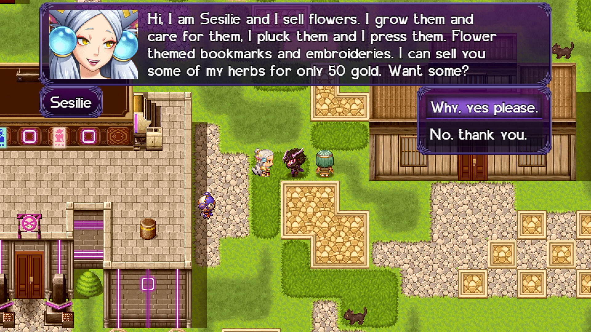 Изображение 6: The Black Knight Chronicles - The Widow without Time