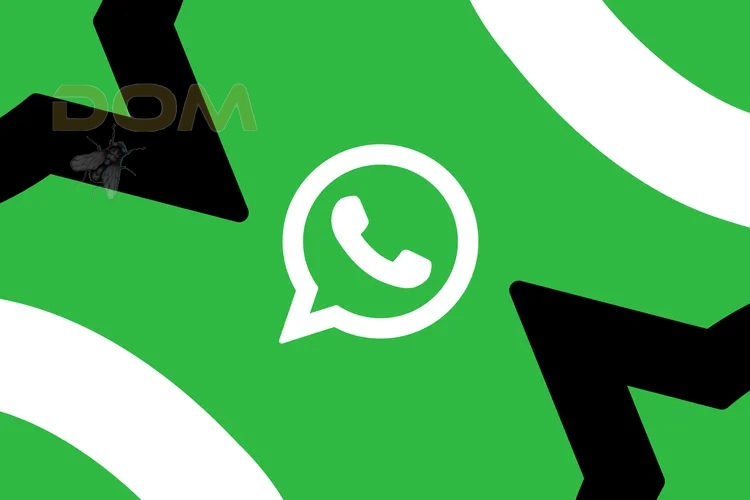 WhatsApp становится лучше для больших групп благодаря новым сообществам и видеочатам на 32 человека