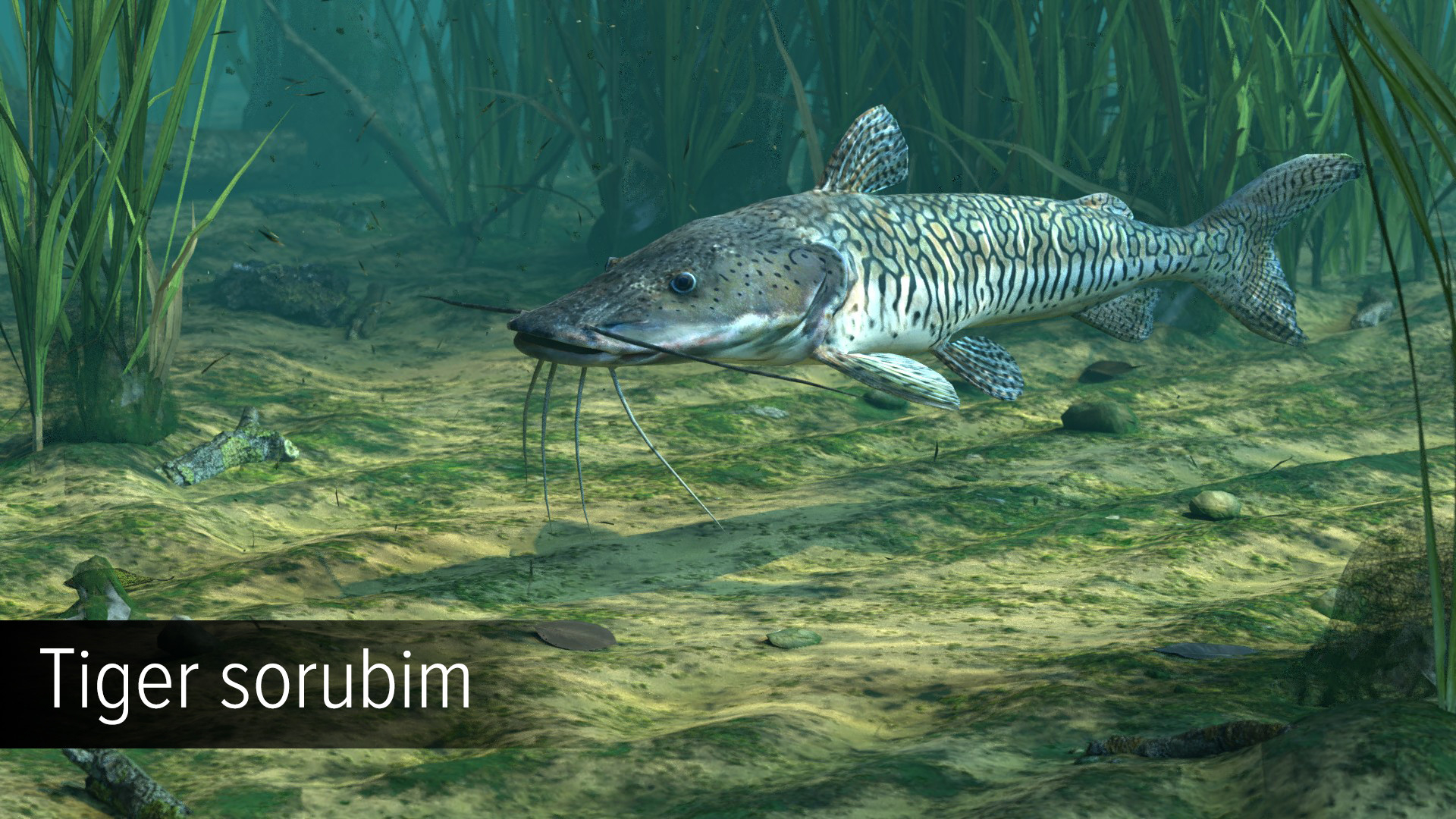 Изображение 6: Ultimate Fishing Simulator - Amazon River