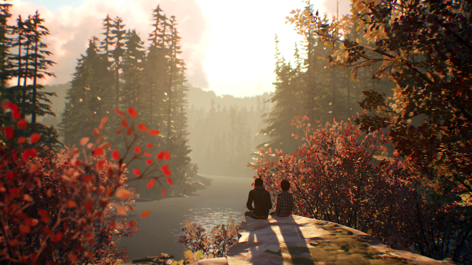 Изображение 6: Life is Strange 2 - Episodes 2-5 bundle