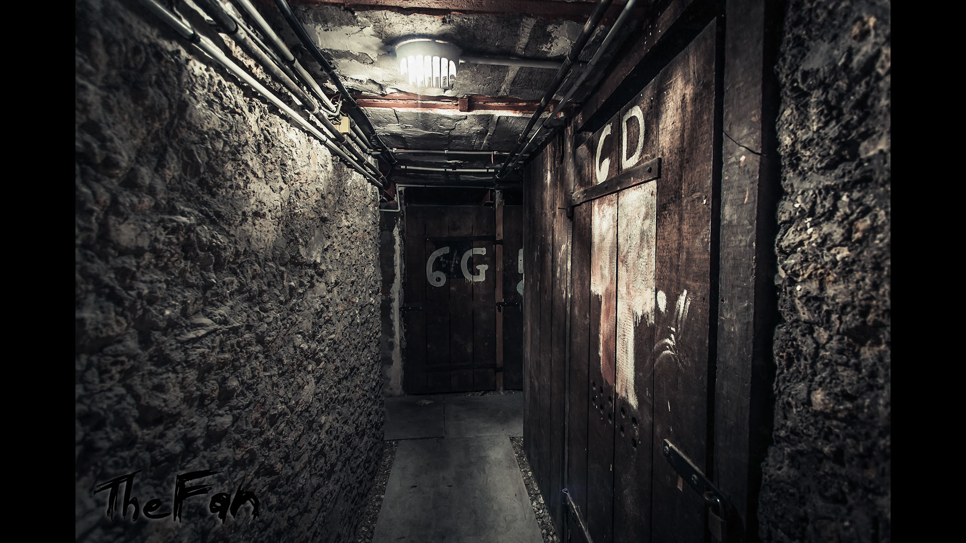 Изображение 6: The Fan