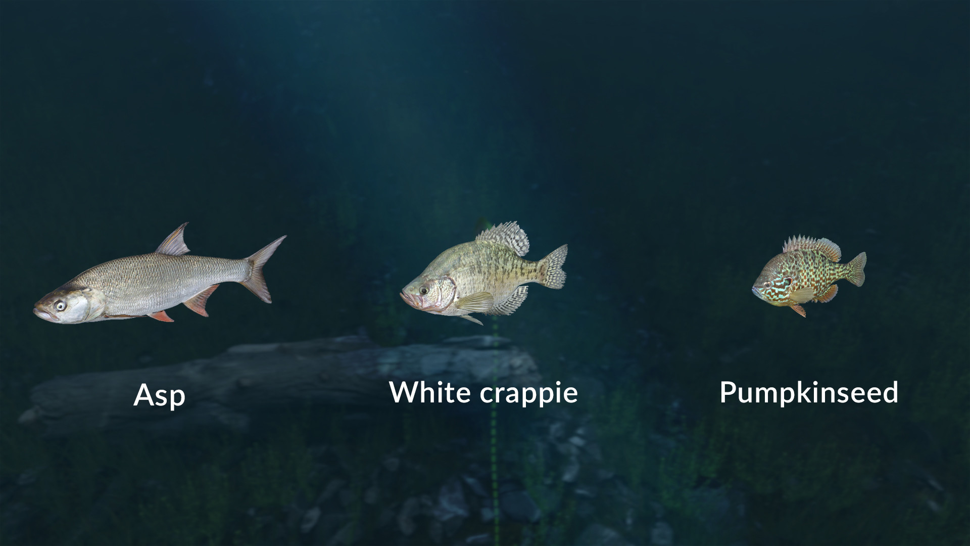 Изображение 6: Ultimate Fishing Simulator - New Fish Species