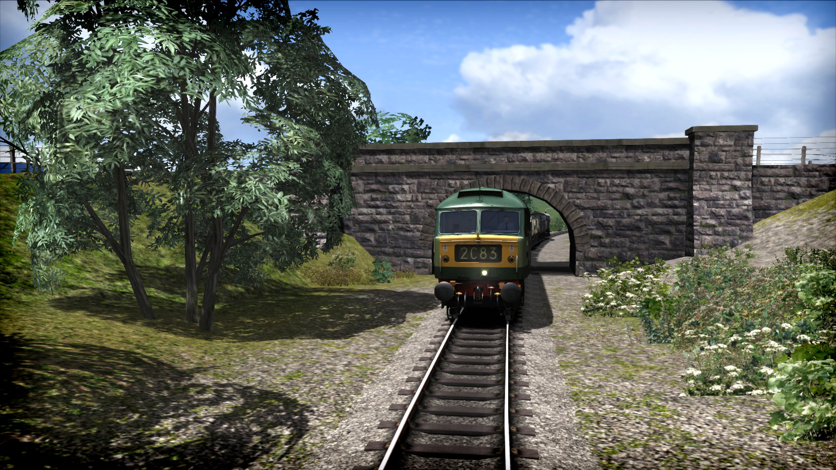 Изображение 6: Train Simulator: WSR Diesels Loco Add-On