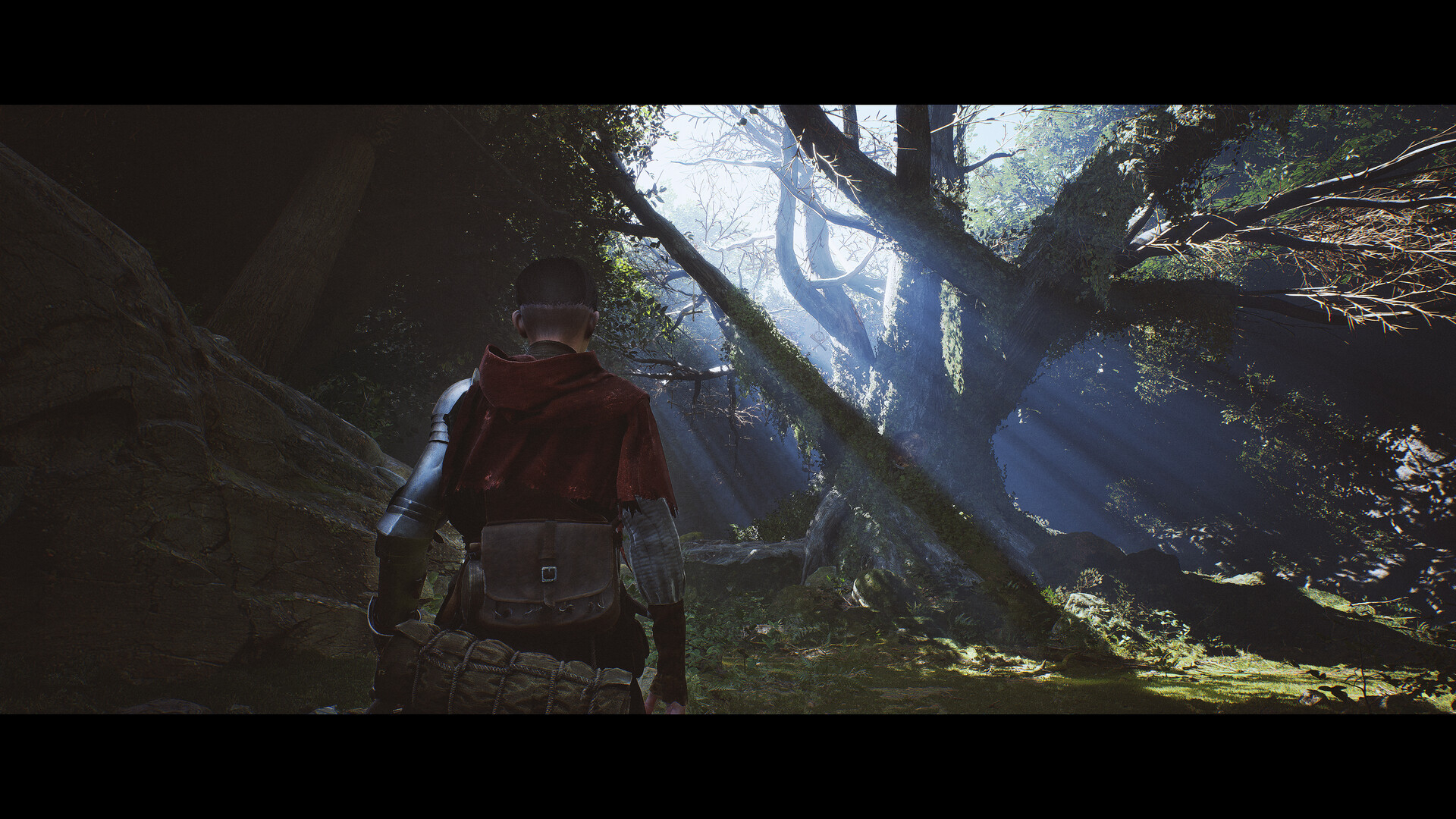 Изображение 6: 1348 Ex Voto