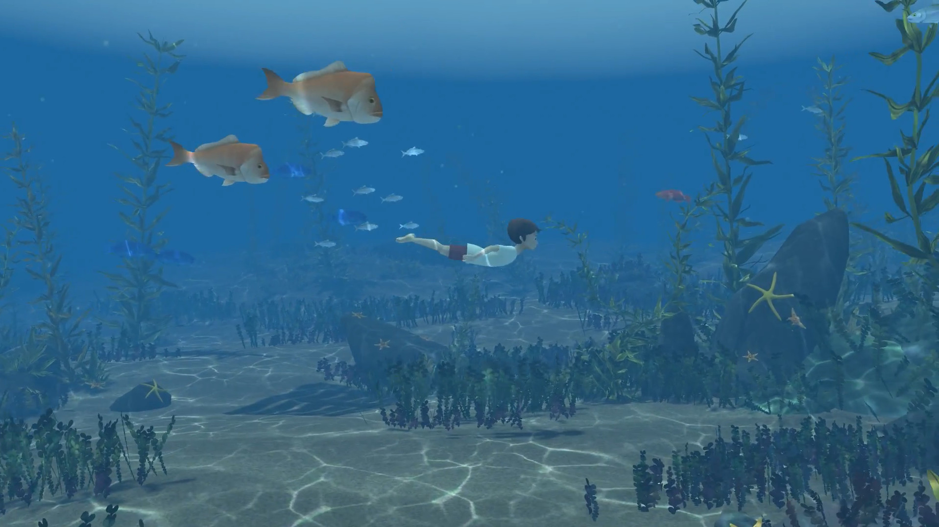 Изображение 6: Storm Boy