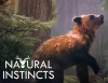 Превью изображения 1: Natural Instincts: European Forest (Ранний доступ)
