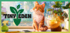 Превью изображения 1: Tiny Eden