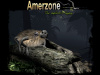 Превью изображения 2: Amerzone: The Explorer’s Legacy