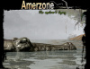 Превью изображения 1: Amerzone: The Explorer’s Legacy