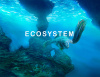 Превью изображения 1: Ecosystem